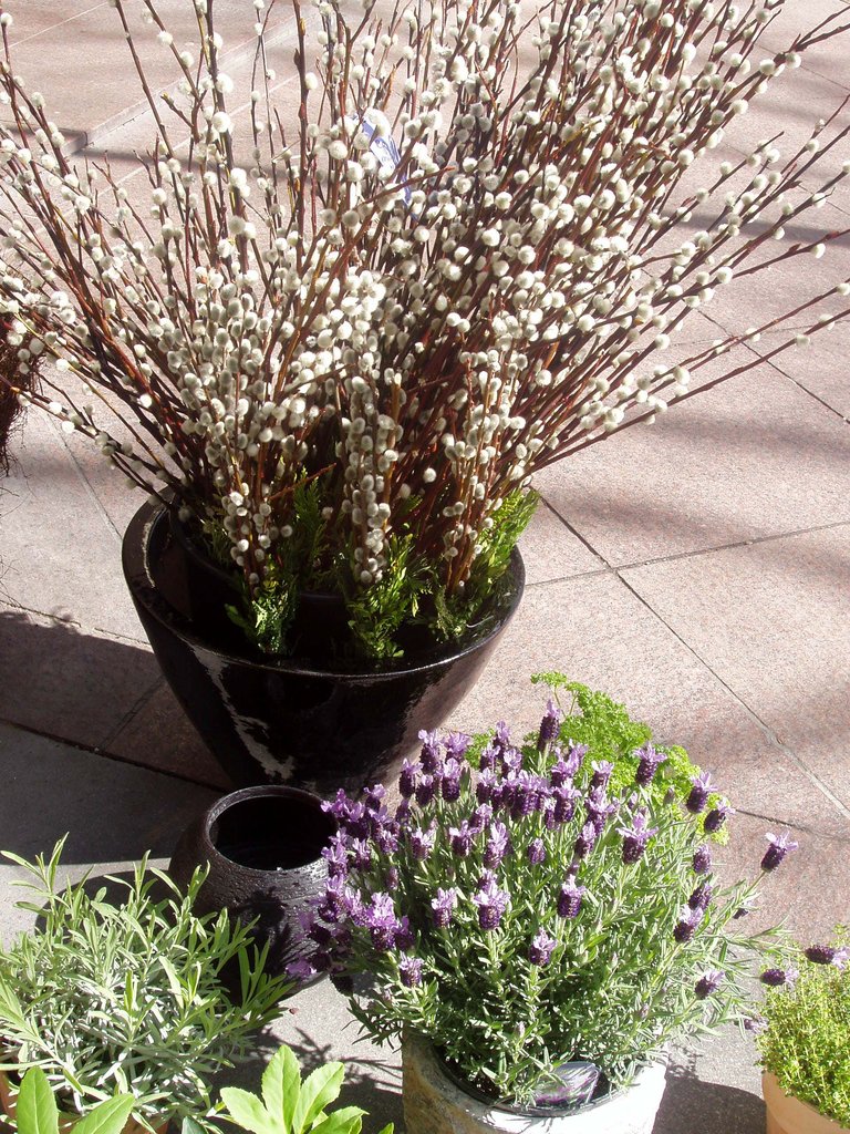 p1012641.jpg